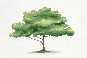 Read more about the article 星曜解釋︰天機的靈巧