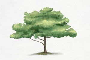 Read more about the article 星曜解釋︰天機的靈巧