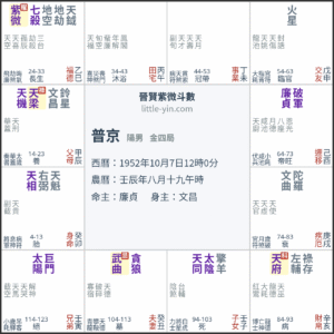 普京