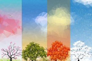 Read more about the article 星曜解釋：主星的四化現象