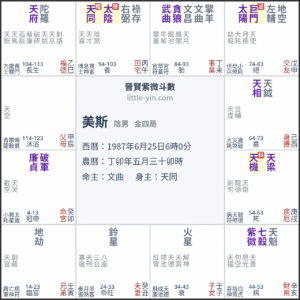 美斯