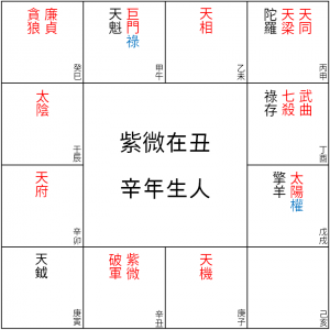 紫微在丑 辛年生人