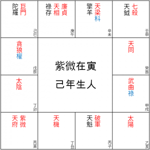 紫微在寅 己年生人